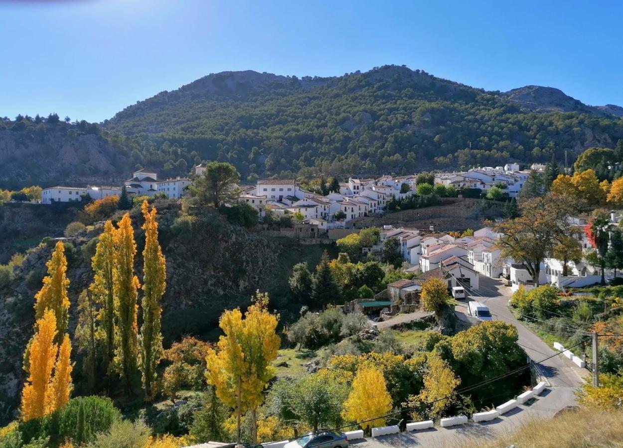 Appartement Casas Las Piedras De Agua à Grazalema Extérieur photo