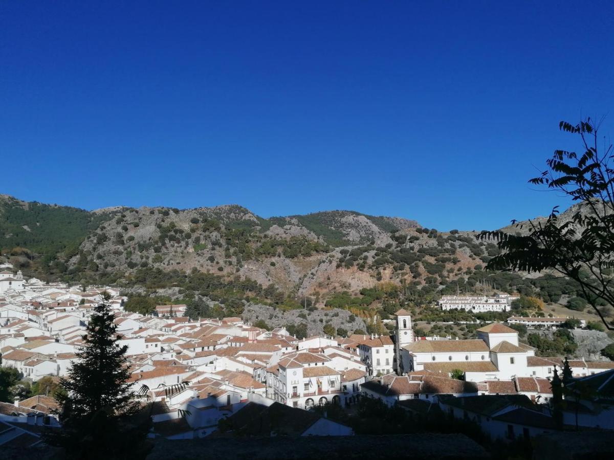 Appartement Casas Las Piedras De Agua à Grazalema Extérieur photo